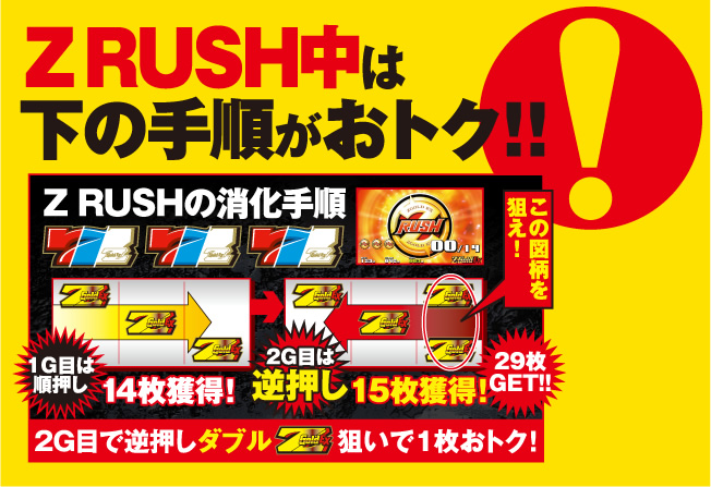 Z RUSH͉̎菇gNII